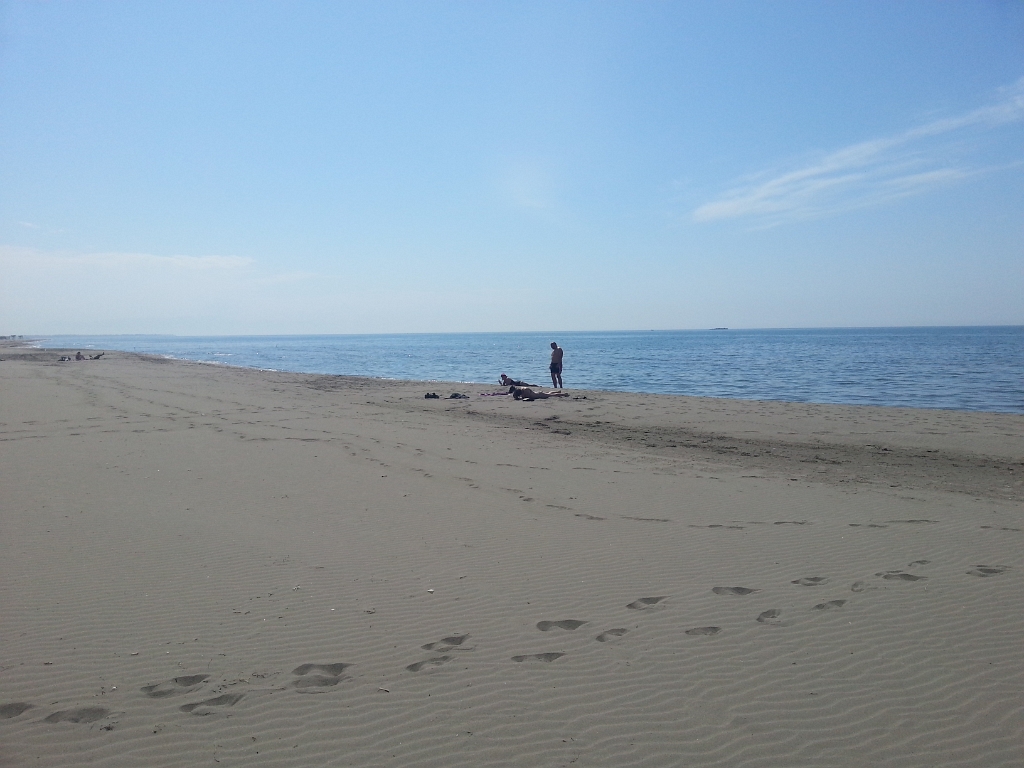 Original image