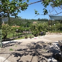 20150508_101856